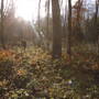 mg_3733.jpg
