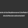 futurevision_brsc_tj_wiki_pra_êsi_1.png
