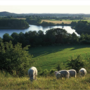 landschaft.png