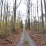 mg_3717.jpg